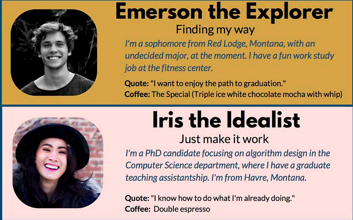 Student personas from Montana State University Libraries